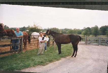 �δ�Ĺ�����Ʈ ����