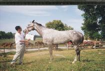 Ƽ������Ǿ� (T. V.��S RUFFIAN) ����