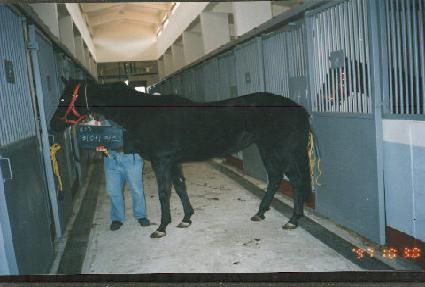 �ǿ���Ƽ�ǽ� ����