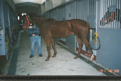 �������극�� ����