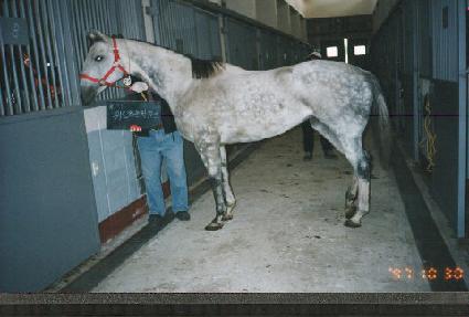 ���己ġƪ�� ����