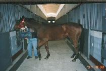 �ֵ����Ʈ (ADDY��S ART) ����