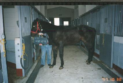 �����ʰ� ����