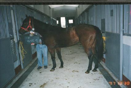 ����Ʈ�� ����