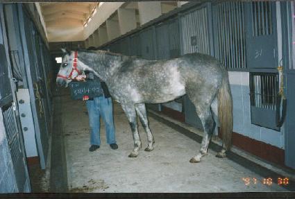 Ʈ�����Ÿ�� ����