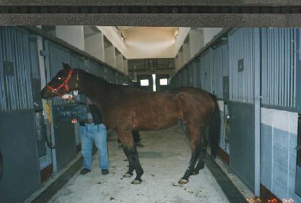 ��Ϸ��� ����