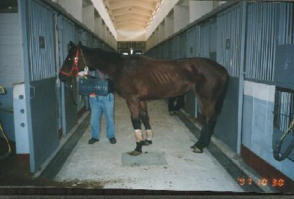 ������극��ŷ ����