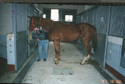 ��Ʈ�������������� ����