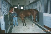 ���̹�����Ÿ�� (FAVORITE FANTASY) ����