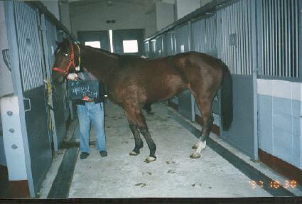 ���̹�����Ÿ�� ����