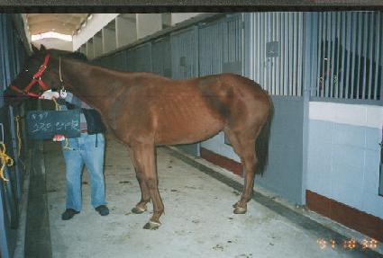 ��ŵ��Ʈ���̾� ����