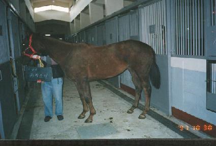 ��ġ��Ƽ ����