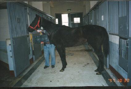 ĵ������ ����