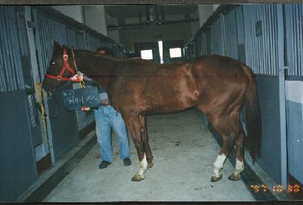 ���̴����� ����