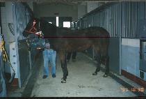 ���̽�Ƽ����Ʈ (SAY THIRTY EIGHT) ����