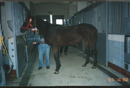 ���̽�Ƽ����Ʈ ����