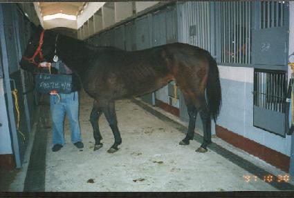 �佺Ƽ����� ����