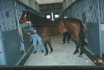 ����̽������ (PROMISE MEA PENNY) ����