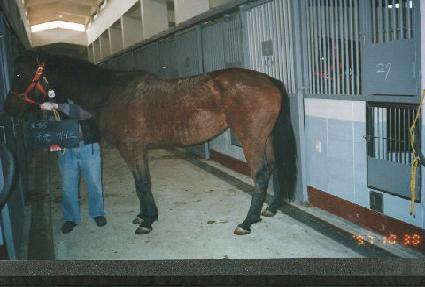 ���ܺ��̺� ����