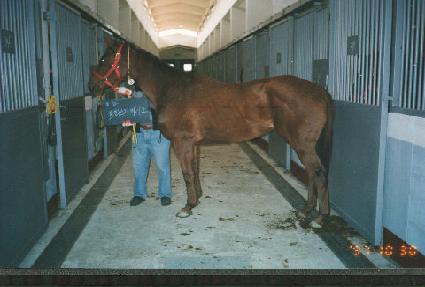 ������ŰŸ��ũ ����