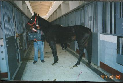 �к��̺� ����