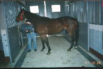 �׹Ķ� (TEMULAC) ����