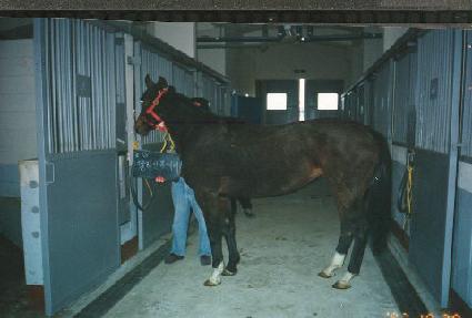 ������������ ����