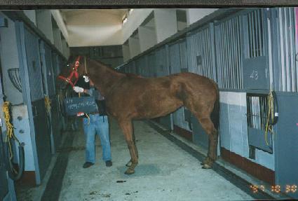 �̽��ͽ�Ÿ�Խ�Ʈ ����