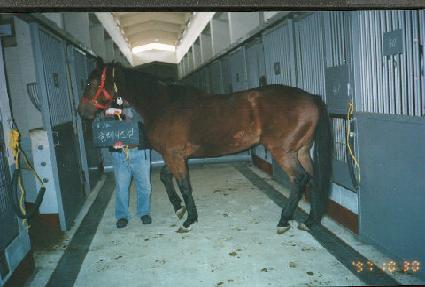 �׷�����Ʈ�� ����