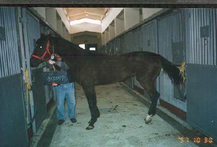 �����������̾� ����