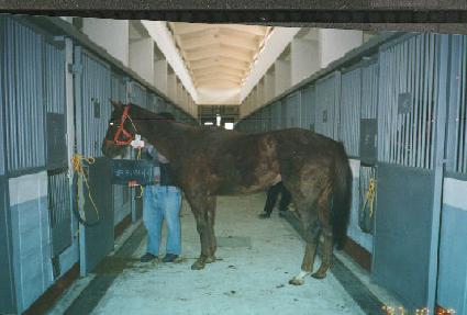 ��ġ���̵� ����