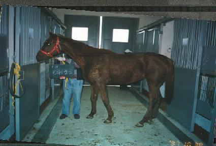 Ʈ���̼��� ����