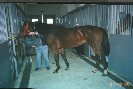 ���ͳ� ����