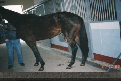 �Ҵ����� ����