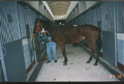 �ֿ�����Ƽ ����