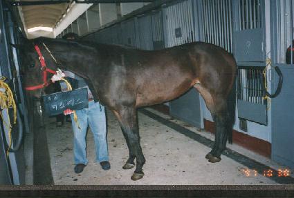 ������ ����