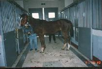 �뷯���� (VALORIFIC) ����