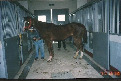 �뷯���� ����