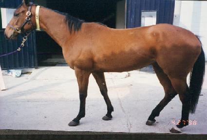 �Ƶ�Ʈ����Ʈ ����