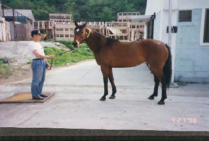 ���ī�� ����