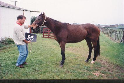 �������ݱ� ����