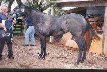 �ѿ츮 (HANURI) ����