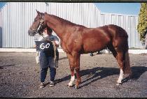 �ſպ� (SHINWANGBI) ����