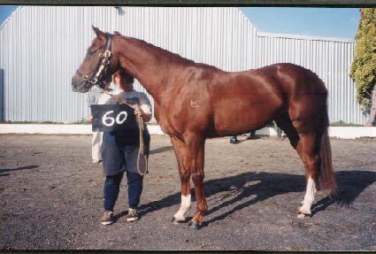 �ſպ� ����