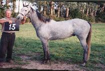 �̵峪�պ��� (MIDNIGHT BLUE) ����