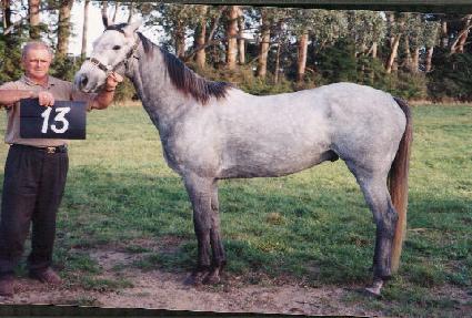 �̵峪�պ��� ����