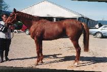 �������̽� (VERY NICE) ����