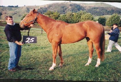 ���̸� ����