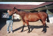 ���� (P��OKCHU) ����