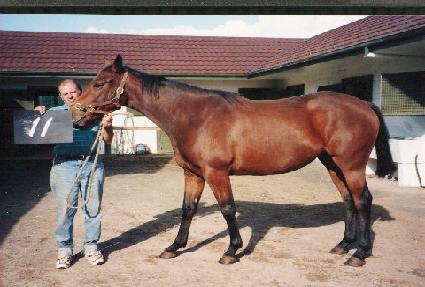 ���� ����